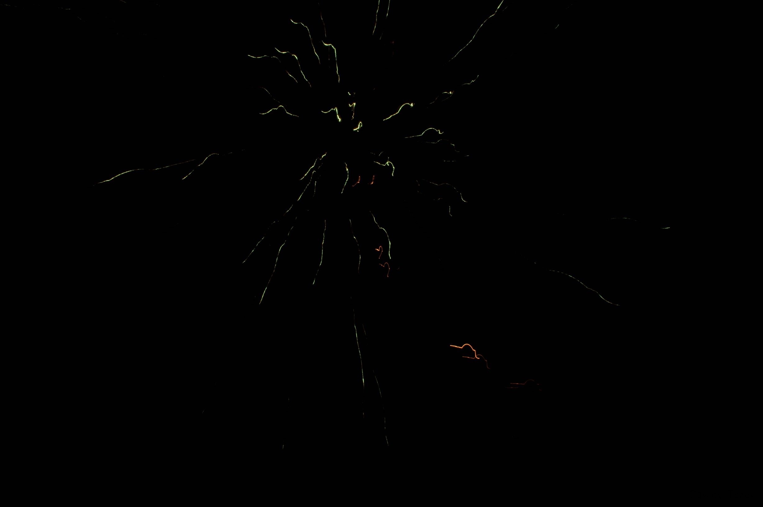 DSC04029.jpg