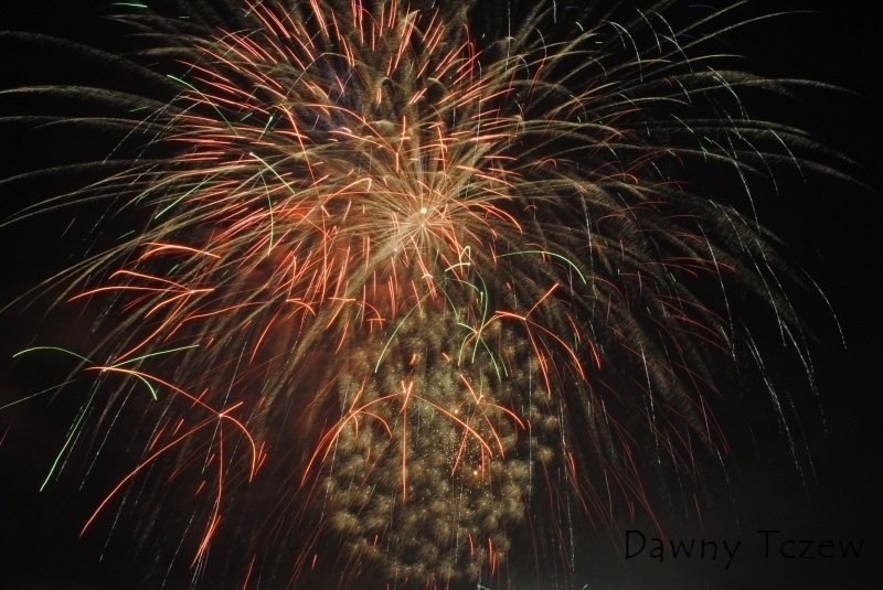 DSC_0049.jpg