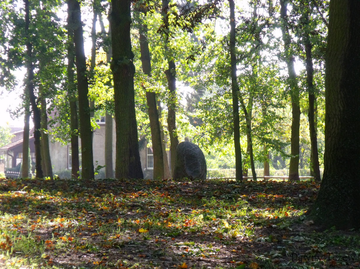 DSCF8422.jpg