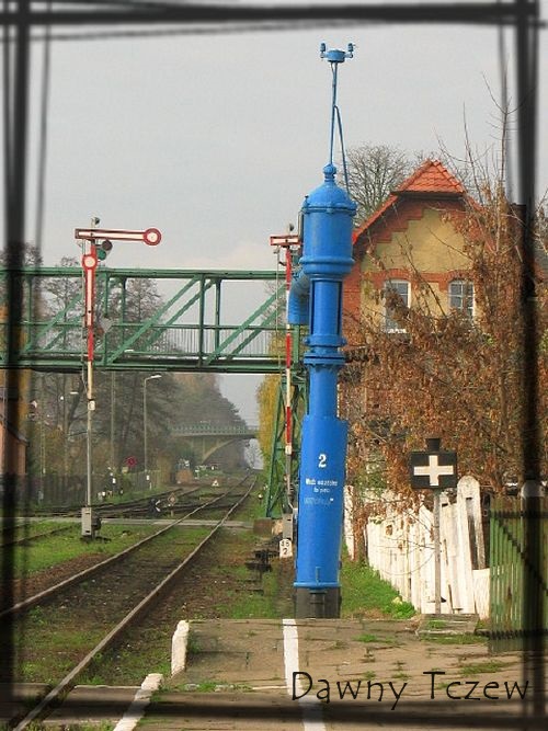 żuraw wodny.jpg