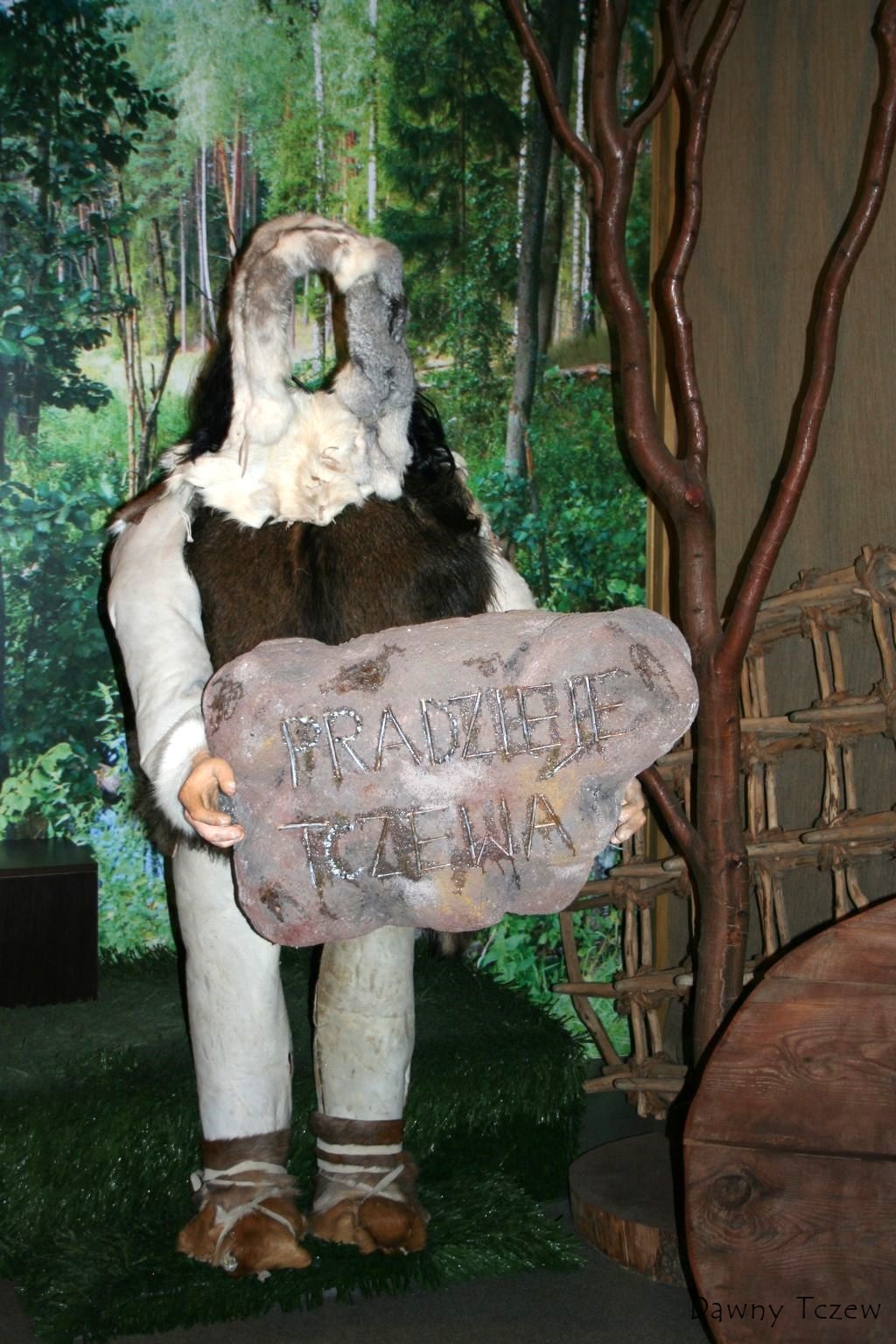 IMG_12280.jpg