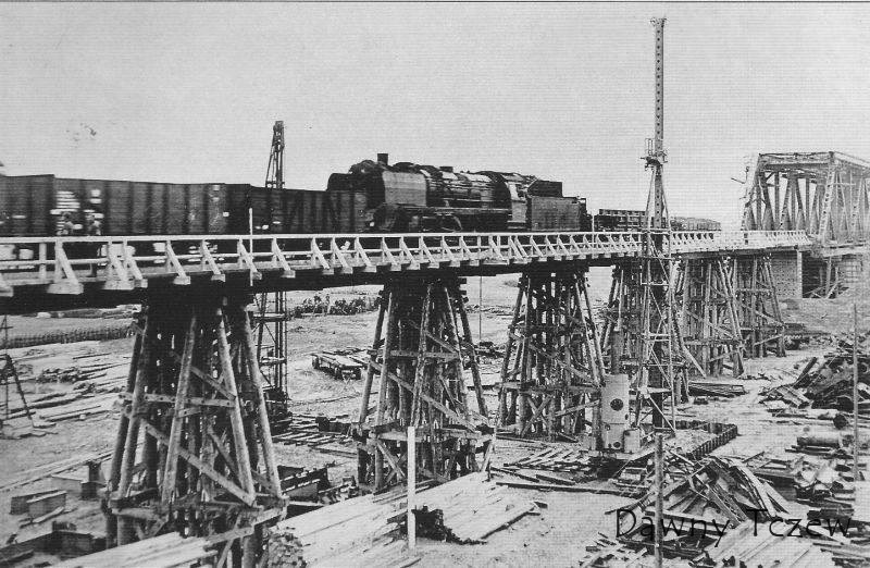 tcz_3_wm_100.jpg