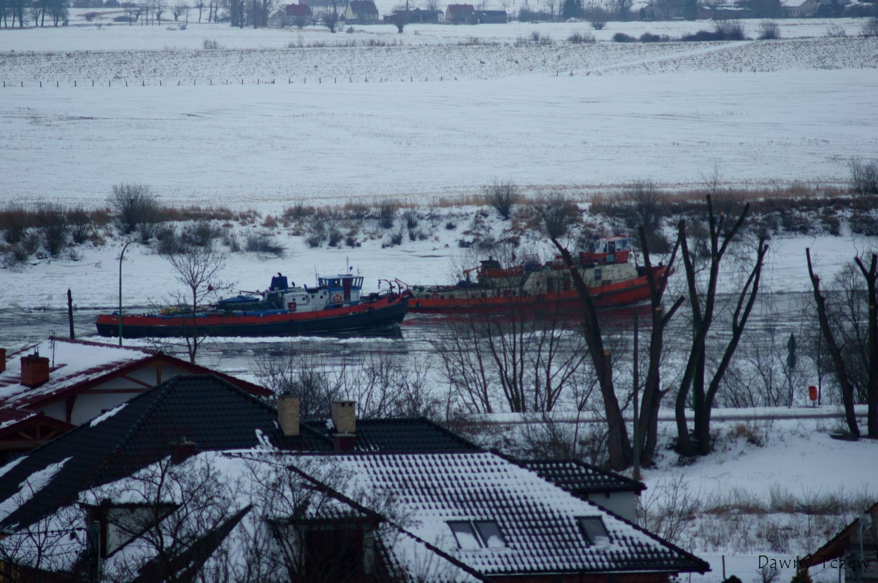 DSC04918.jpg