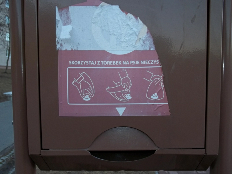 poz2.jpg