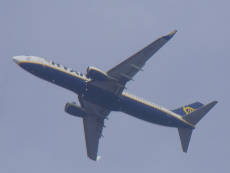 DSCF4466.jpg