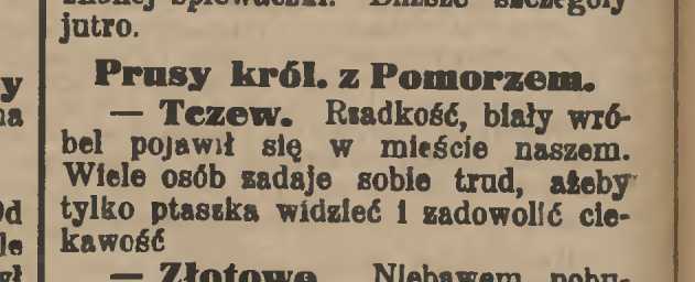 Gazeta Toruńska 1911, 29.08.jpeg