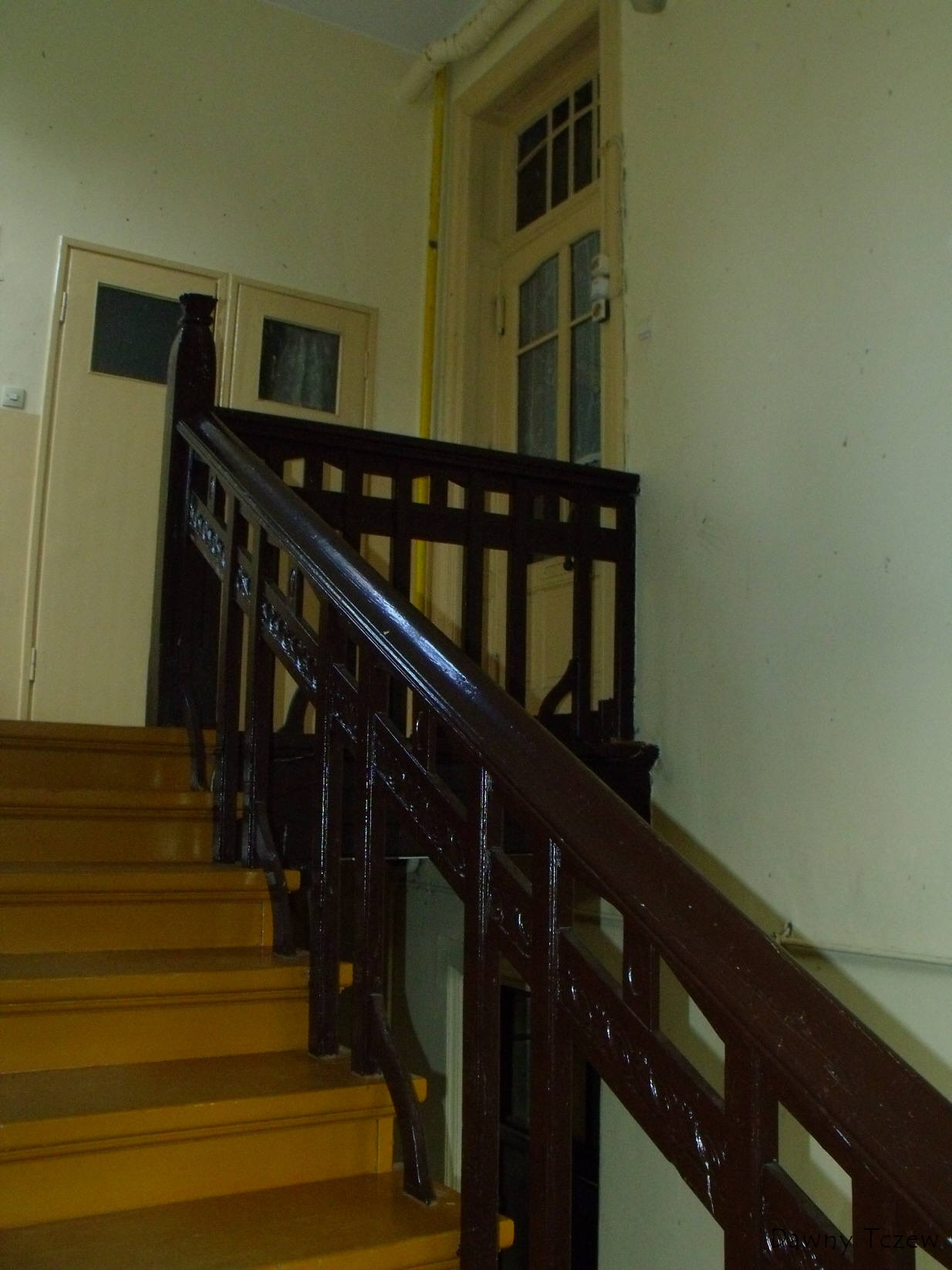 DSCF8555.jpg