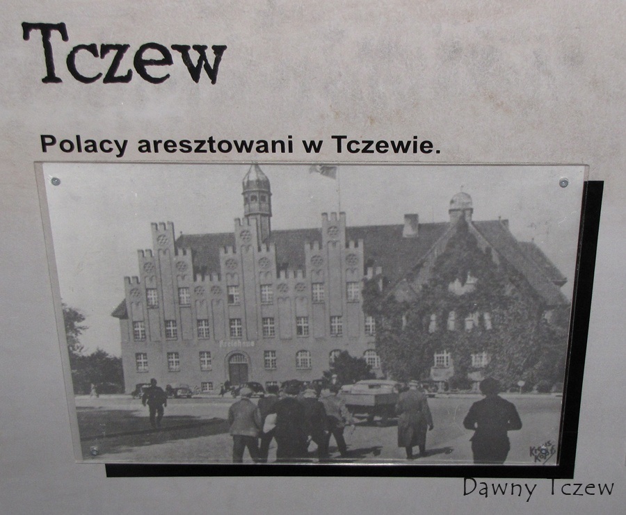 sztut 3.jpg