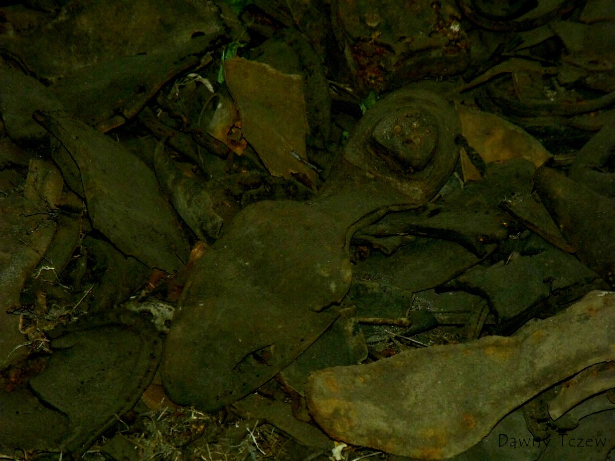 DSCF4938.jpg