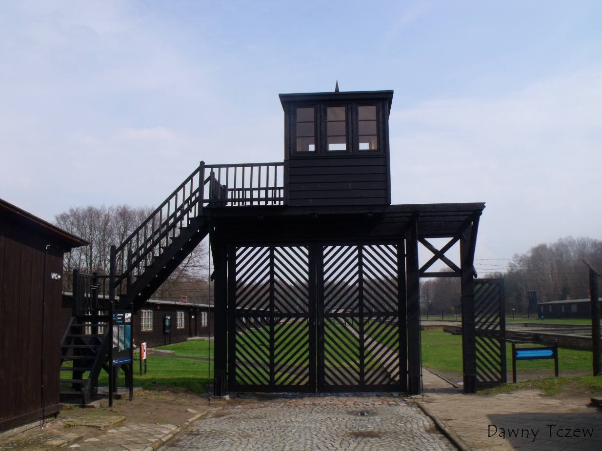 DSCF5127.jpg