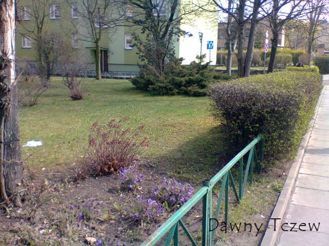 Zdjecie0100.jpg