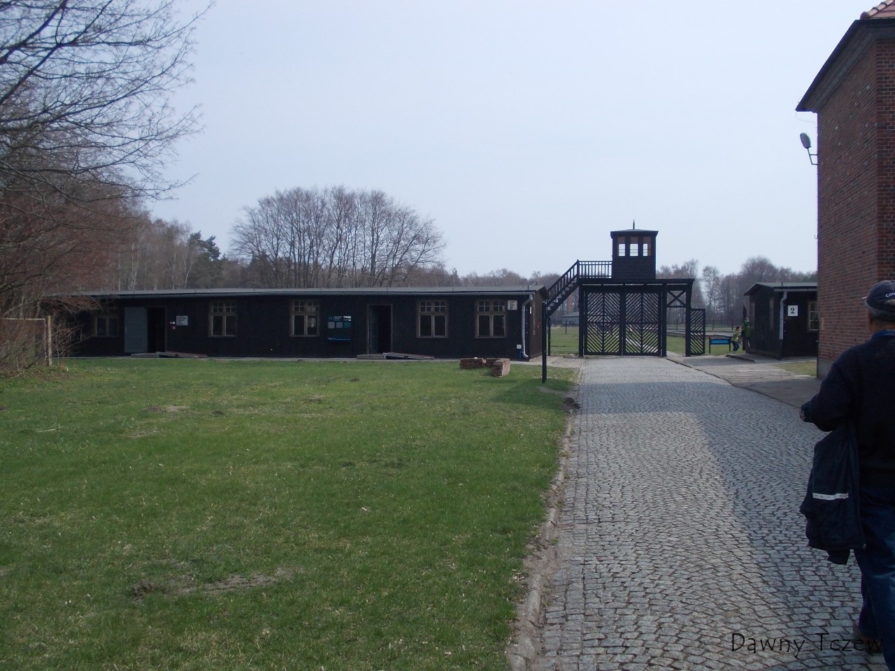 DSCN0233.jpg