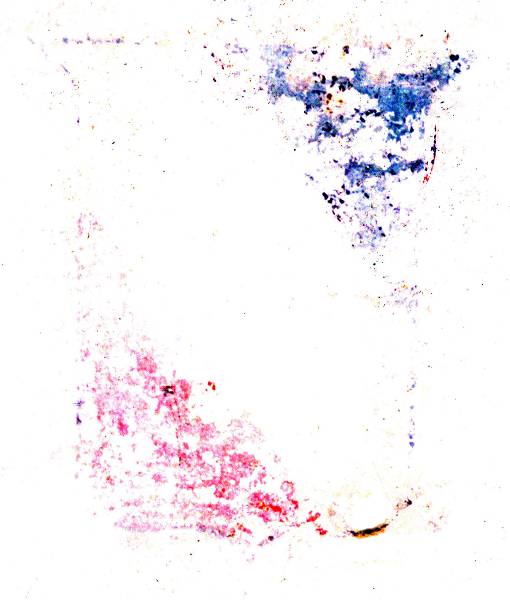 HERB_(800_x_600).jpg