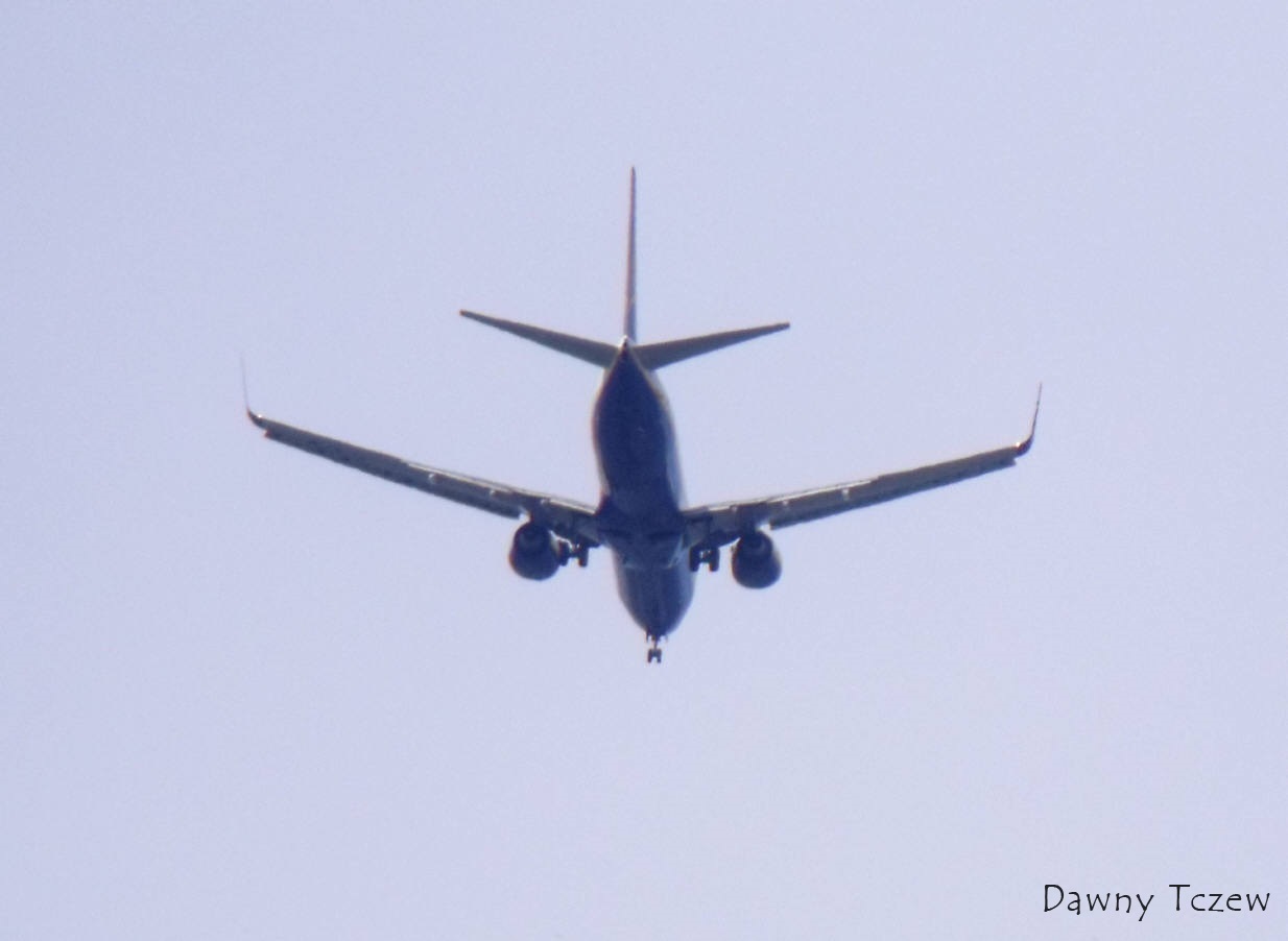 DSCF5325.jpg