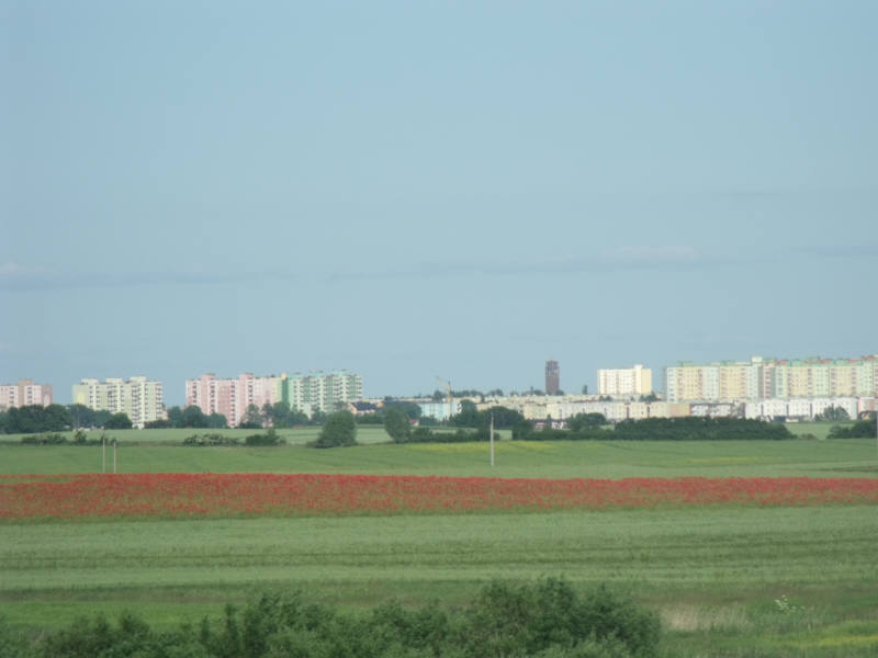 DSCF5275.jpg