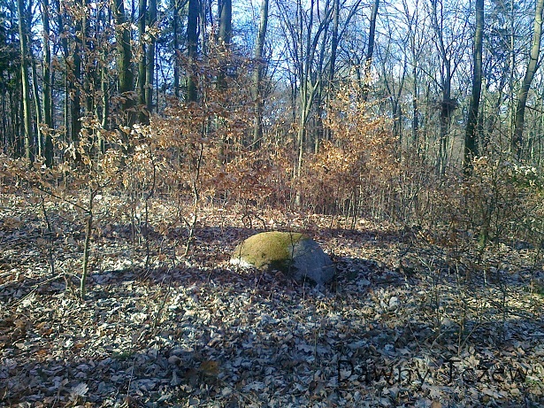 20120325835.jpg