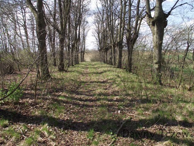 DSCF3554.JPG