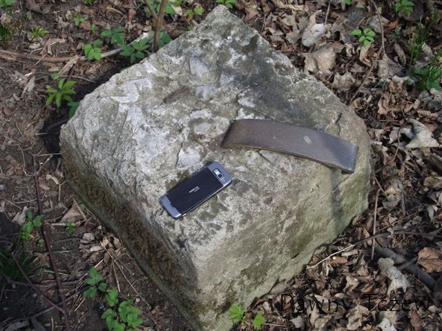 DSCF3556.JPG