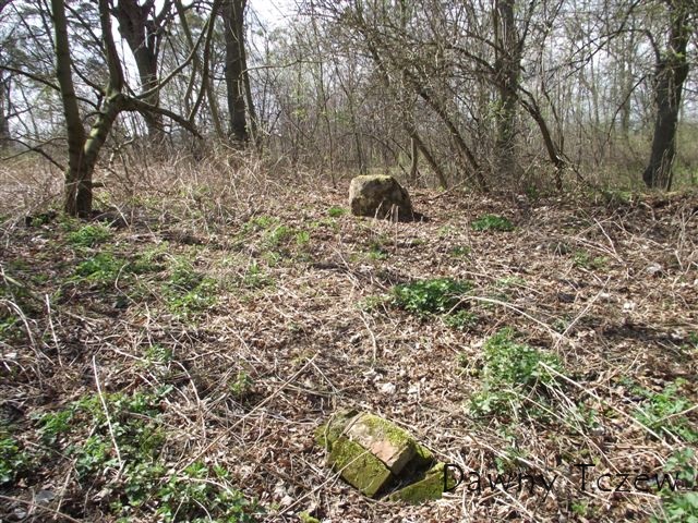 DSCF3553.JPG