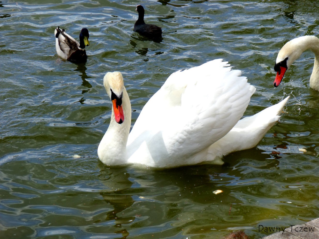 DSCF6147.jpg
