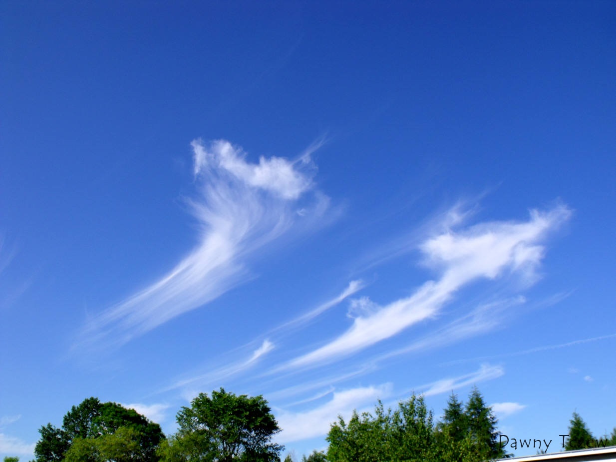 DSCF6285.jpg