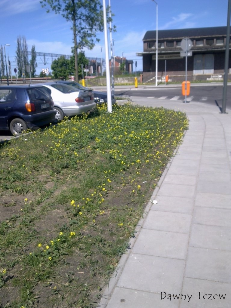 16db0a41.xl.jpg
