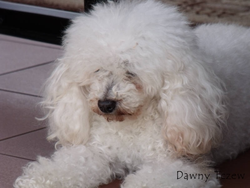 DSCF4141.jpg