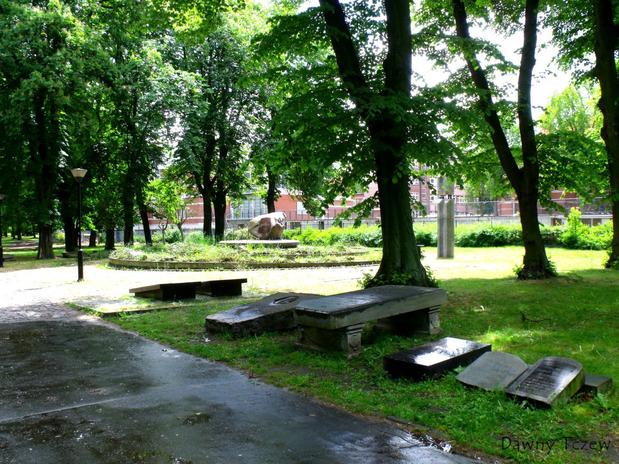 DSCF6356.jpg