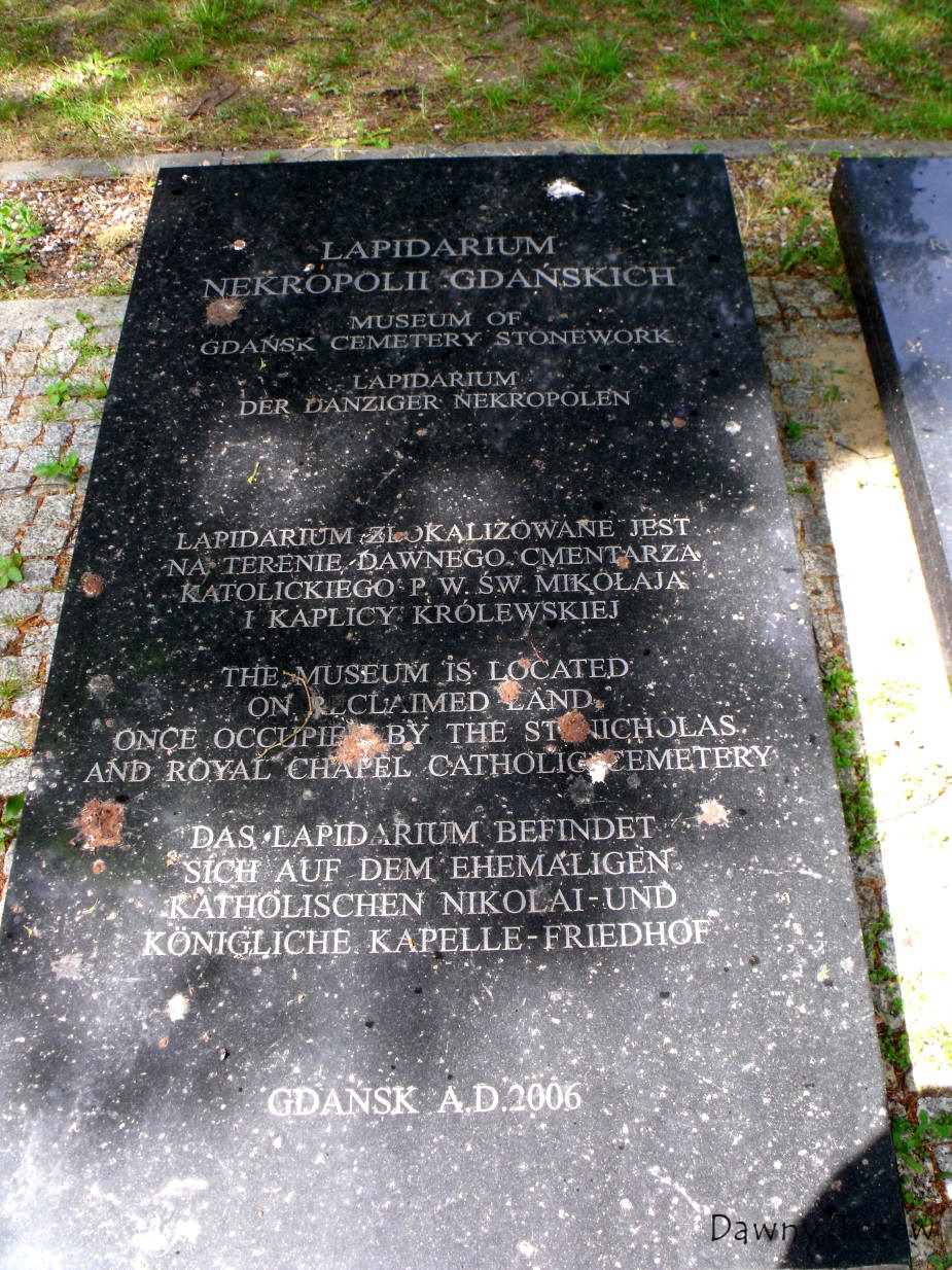 DSCF6359.jpg