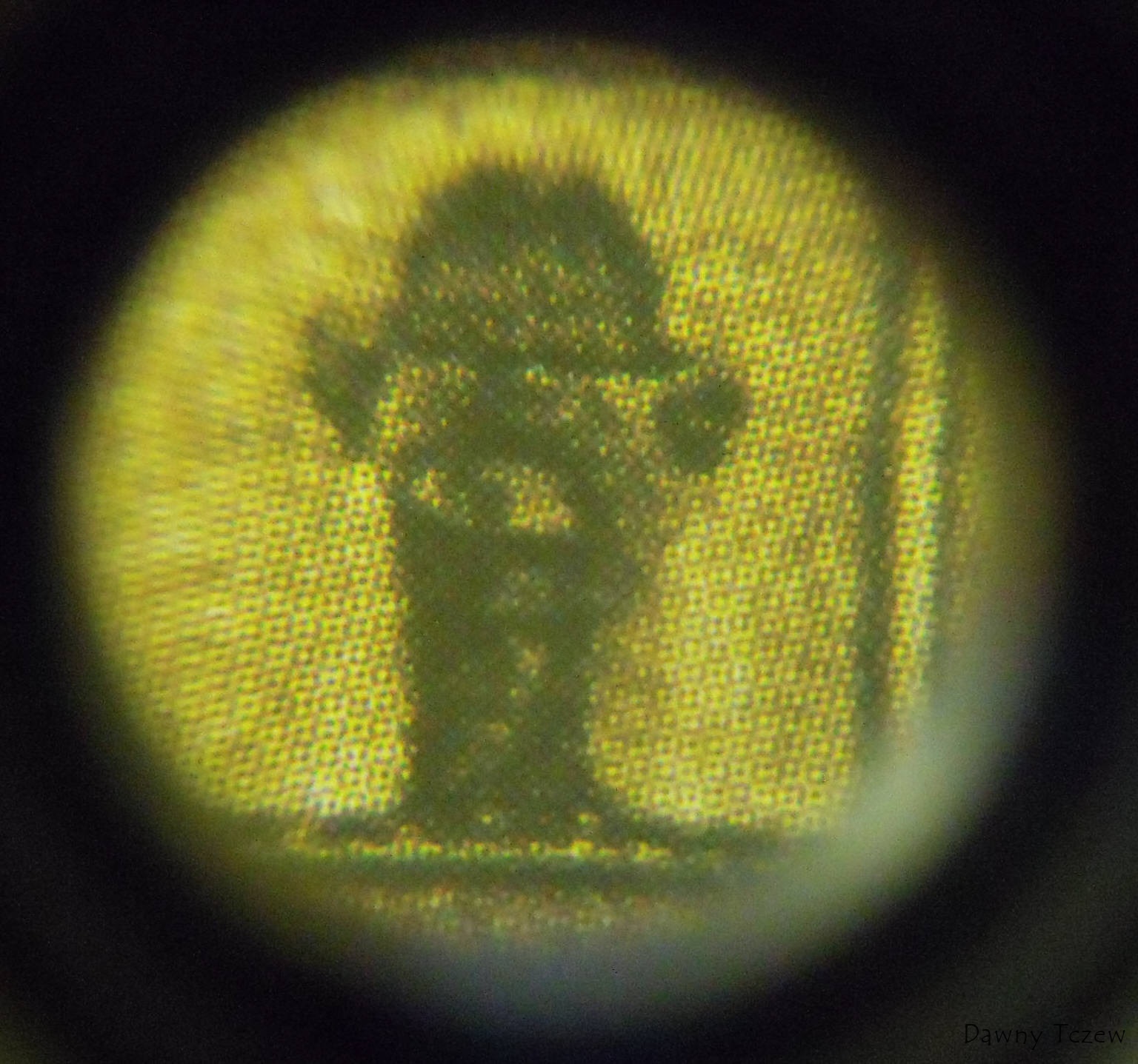 DSCF1725.jpg