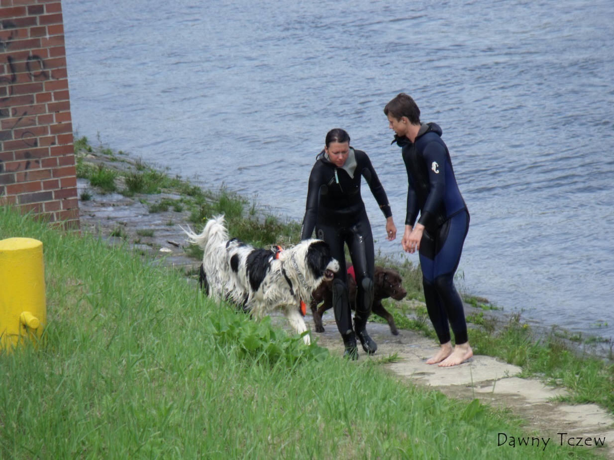DSCF6772.jpg
