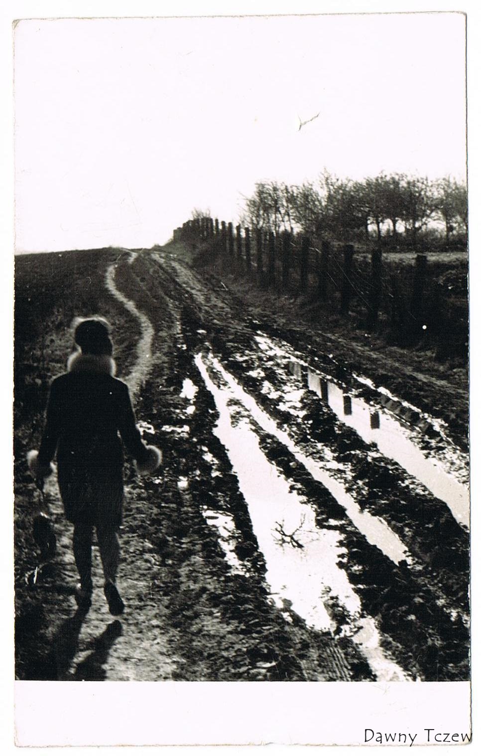 CZYŻ.JPG