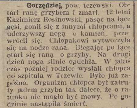 FUNGHI Gazeta Kościerska, 1934, nr129.jpeg