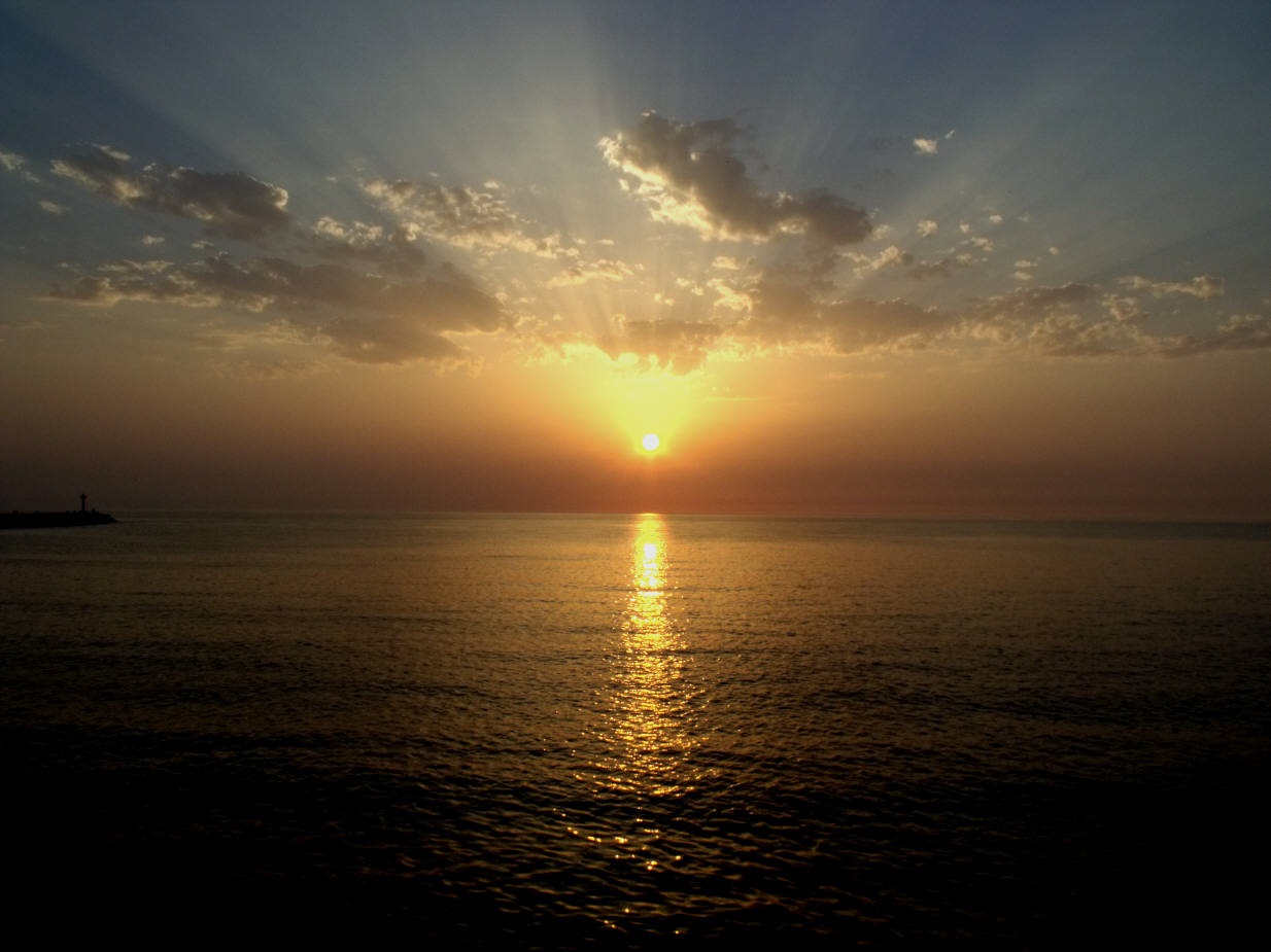 DSCF9037.jpg