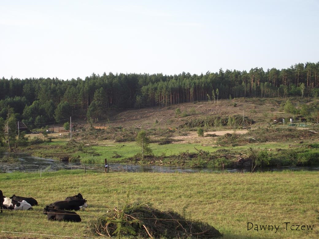 DSCF4212.JPG