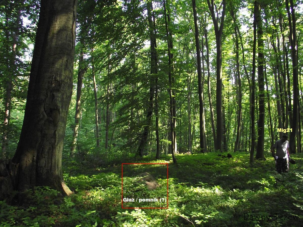 GŁAZ.JPG