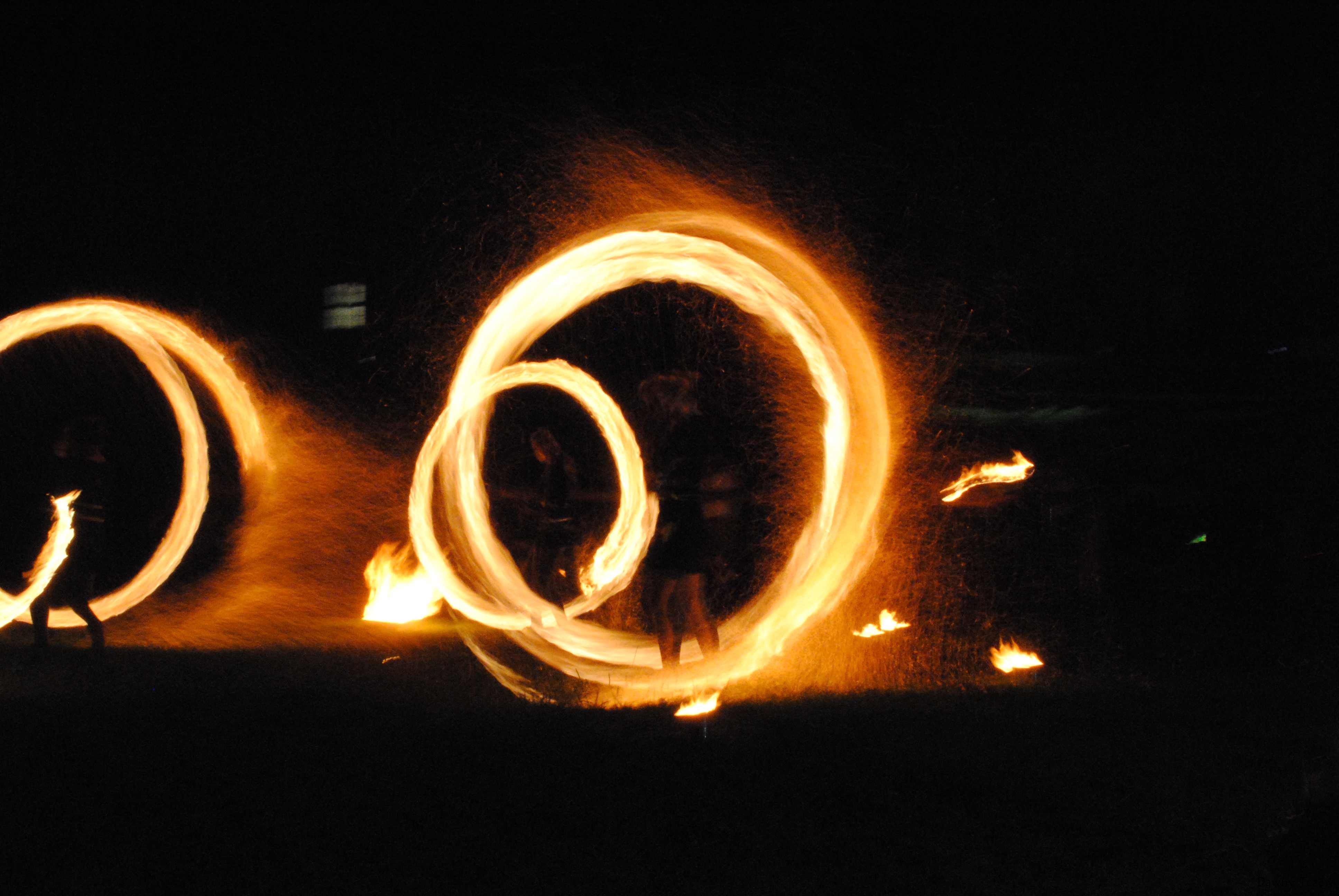 DSC_0231.jpg
