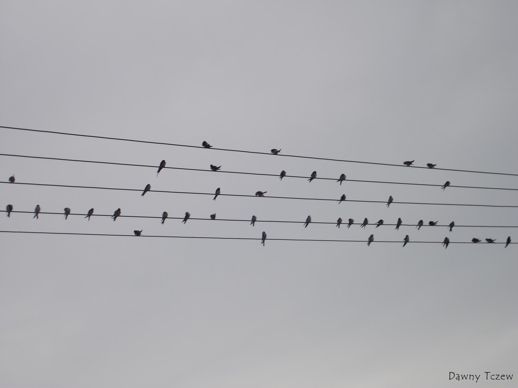 Веселые ребята.JPG