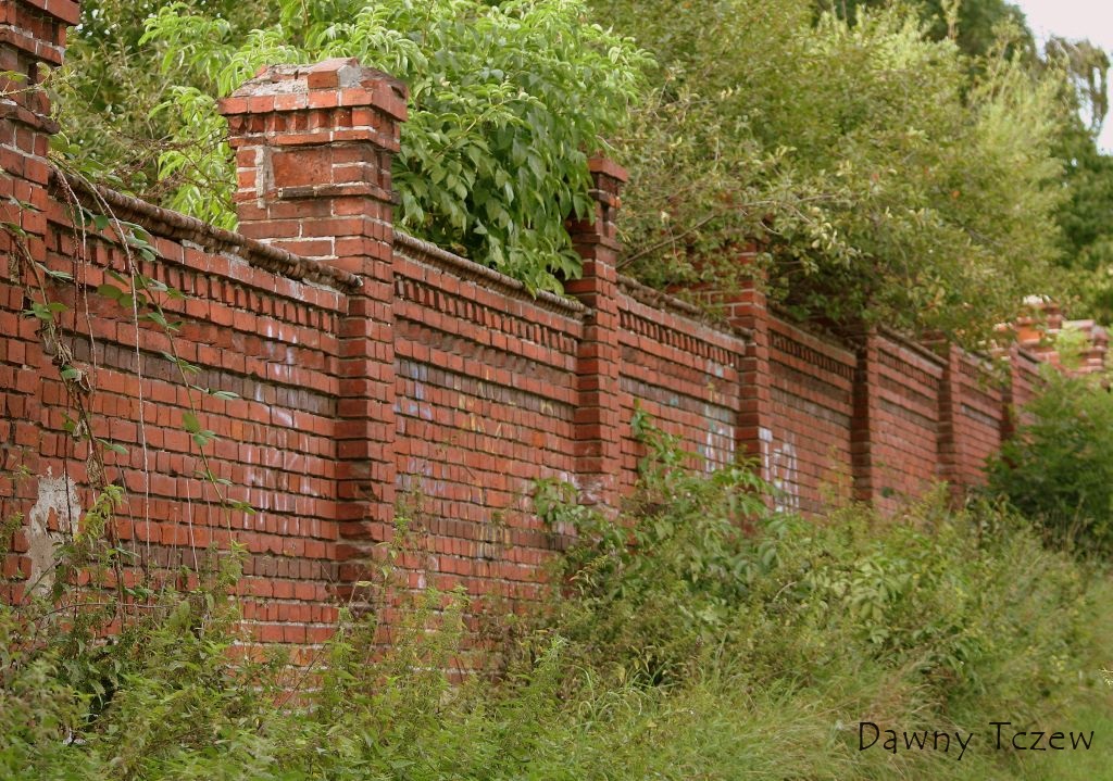 Obraz 163.jpg