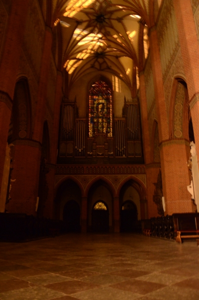 _DSC0904.JPG