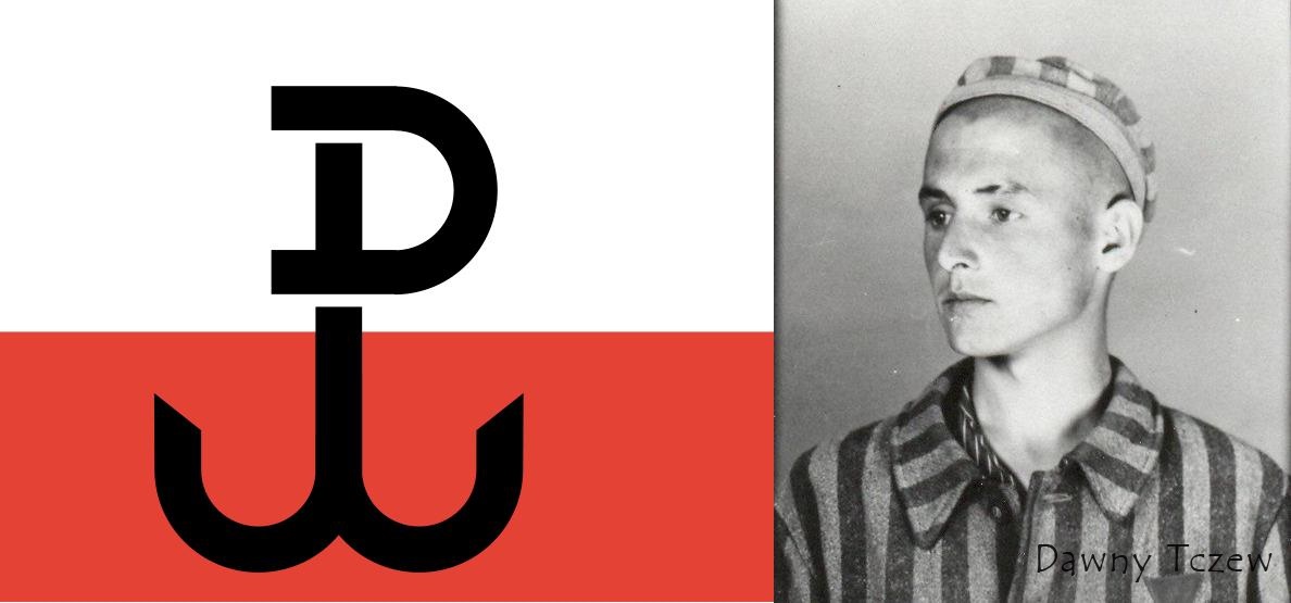 Z.JPG