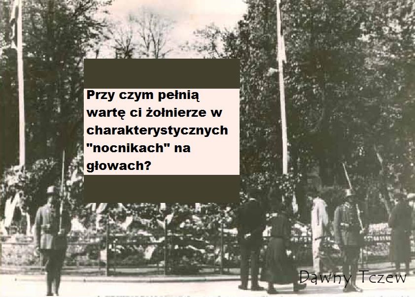 NOCNIKI.jpg