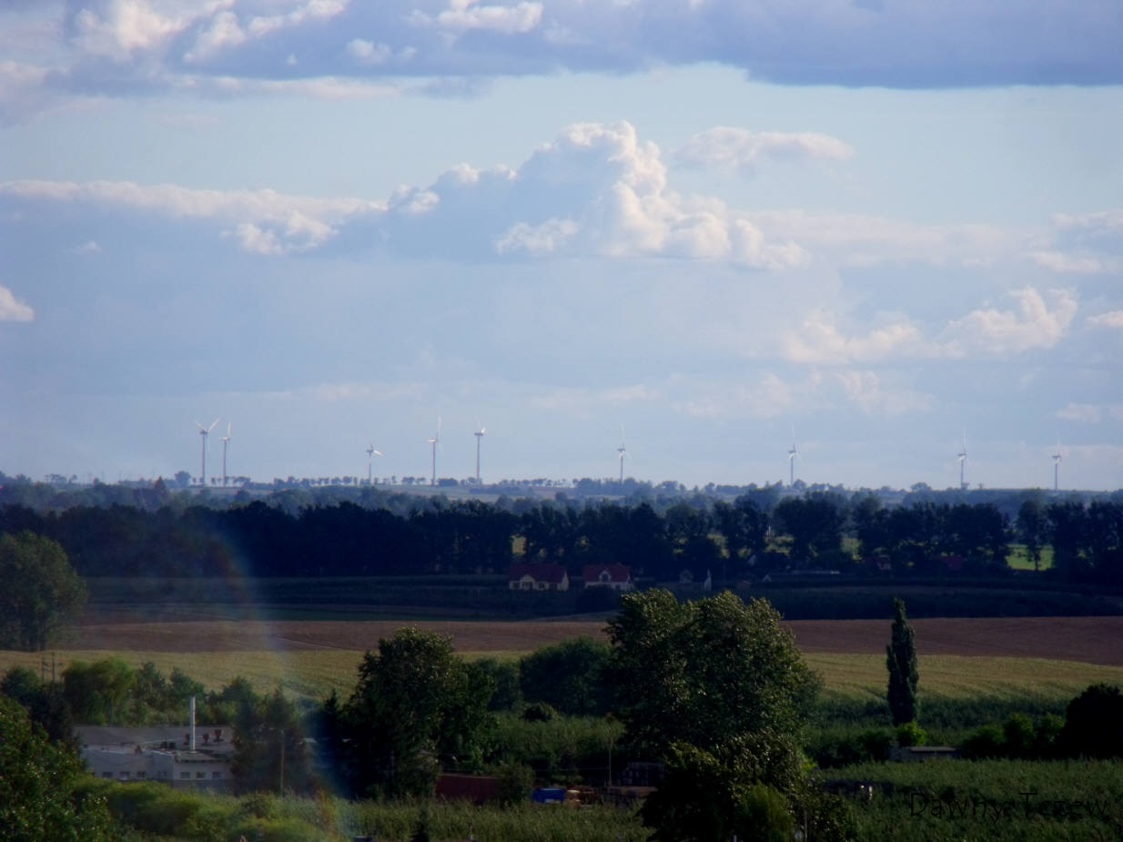 DSCF0787.jpg