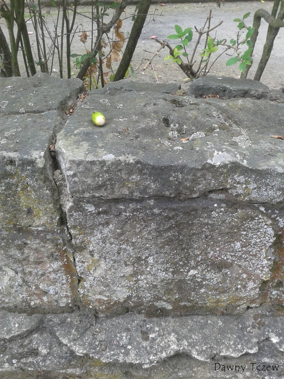 mur.jpg