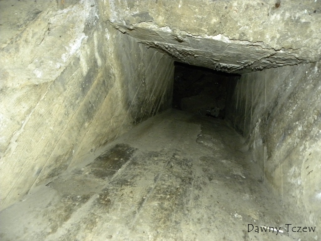 DSCN6537.JPG
