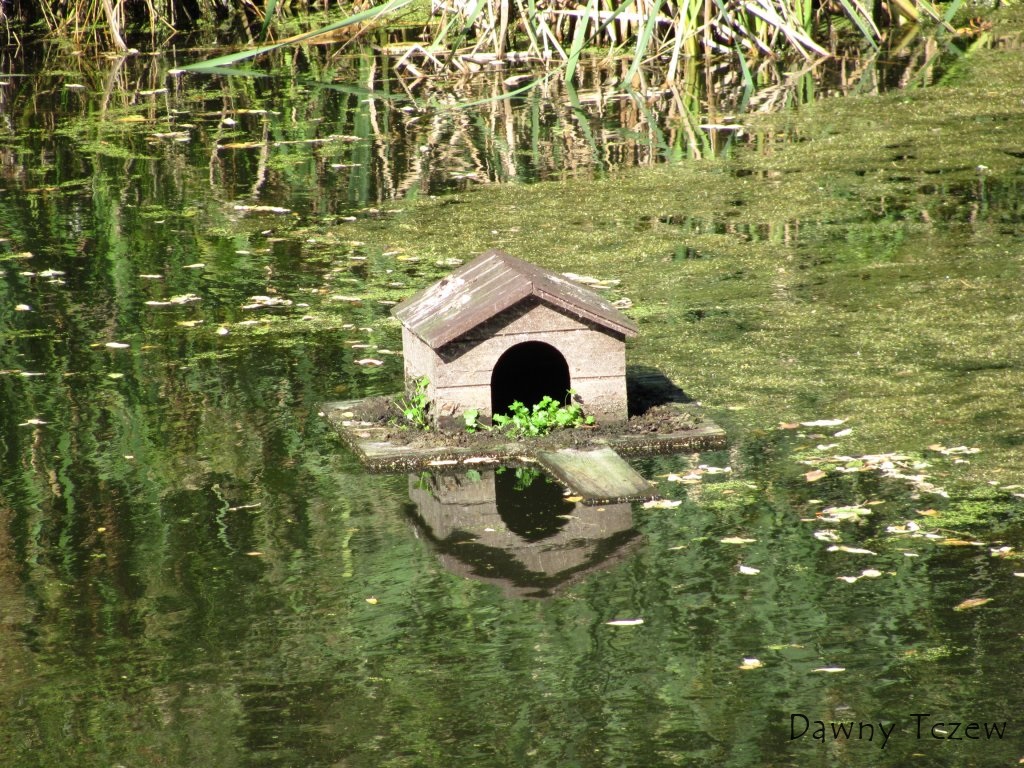 Img_8262.jpg