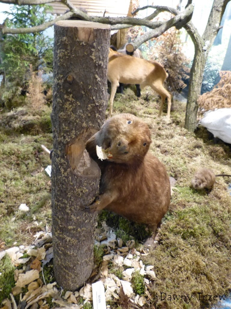P1010224.JPG