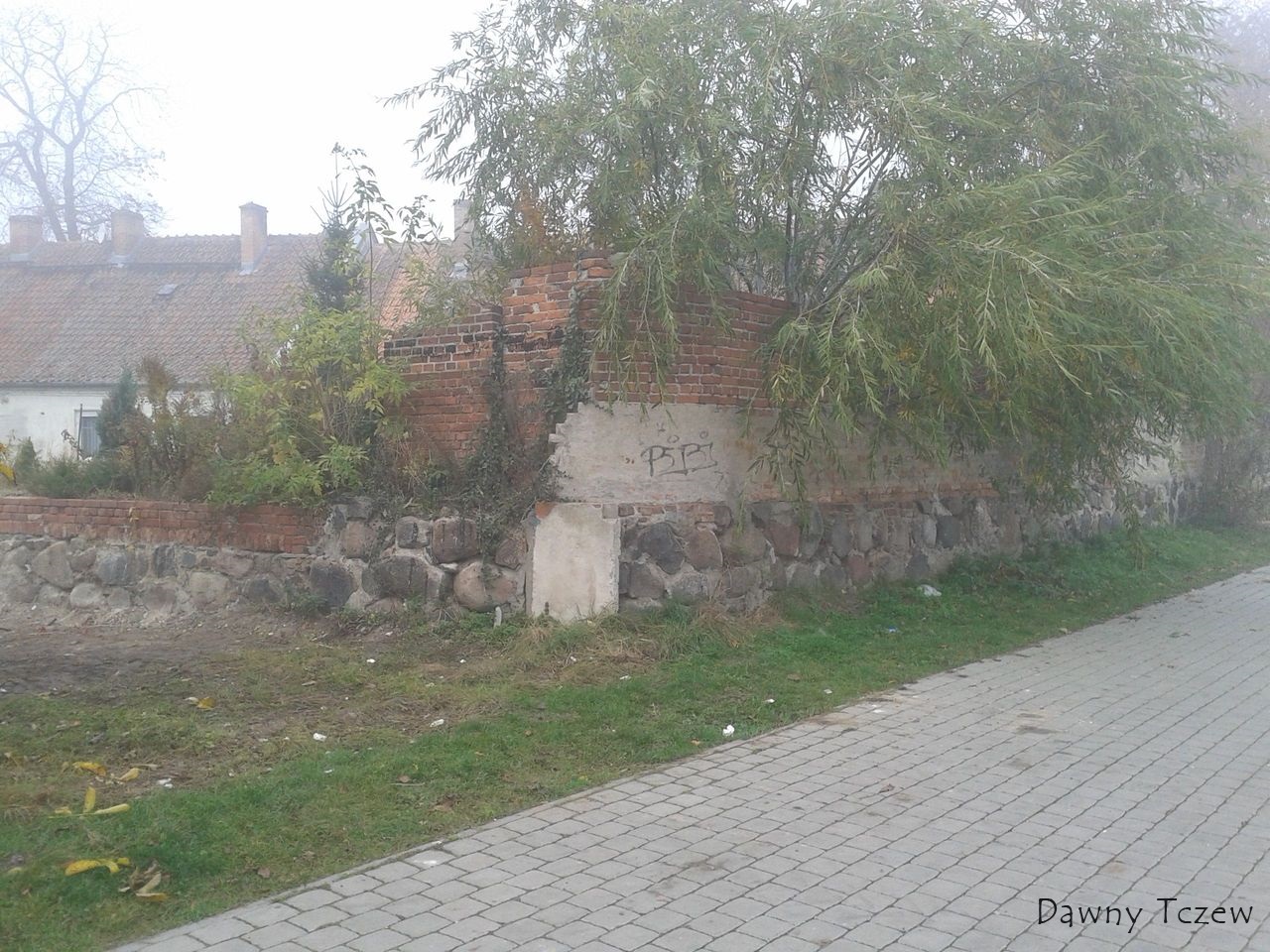 mur.jpg