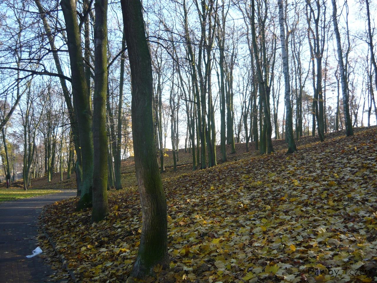 P1020524.JPG