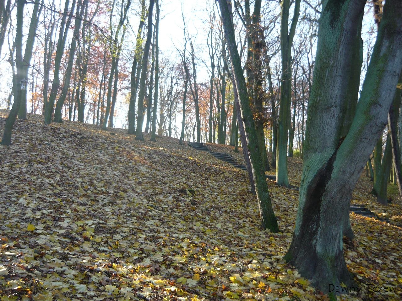 P1020525.JPG